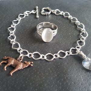 Può includere: Un braccialetto a catena d'argento con un ciondolo a forma di cuore, un ciondolo a forma di lupo e un ciondolo a forma di cuore di cristallo. Il braccialetto include anche un anello d'argento con una pietra bianca.