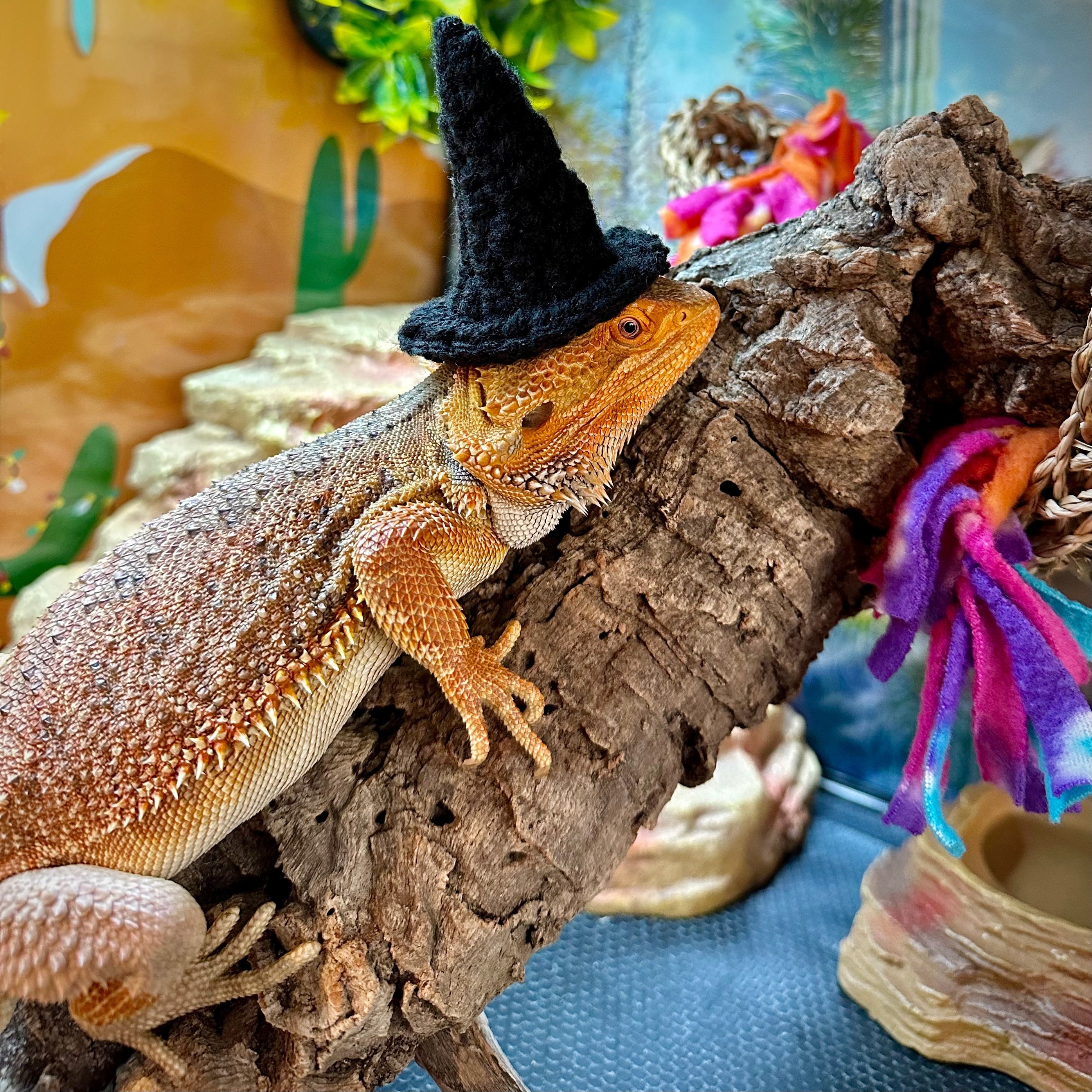 16 Bearded Dragon Crochet Patterns for Reptile Lovers, Gifts, and Plush Decor 14 Bearded Dragon Witch Hat Crochet