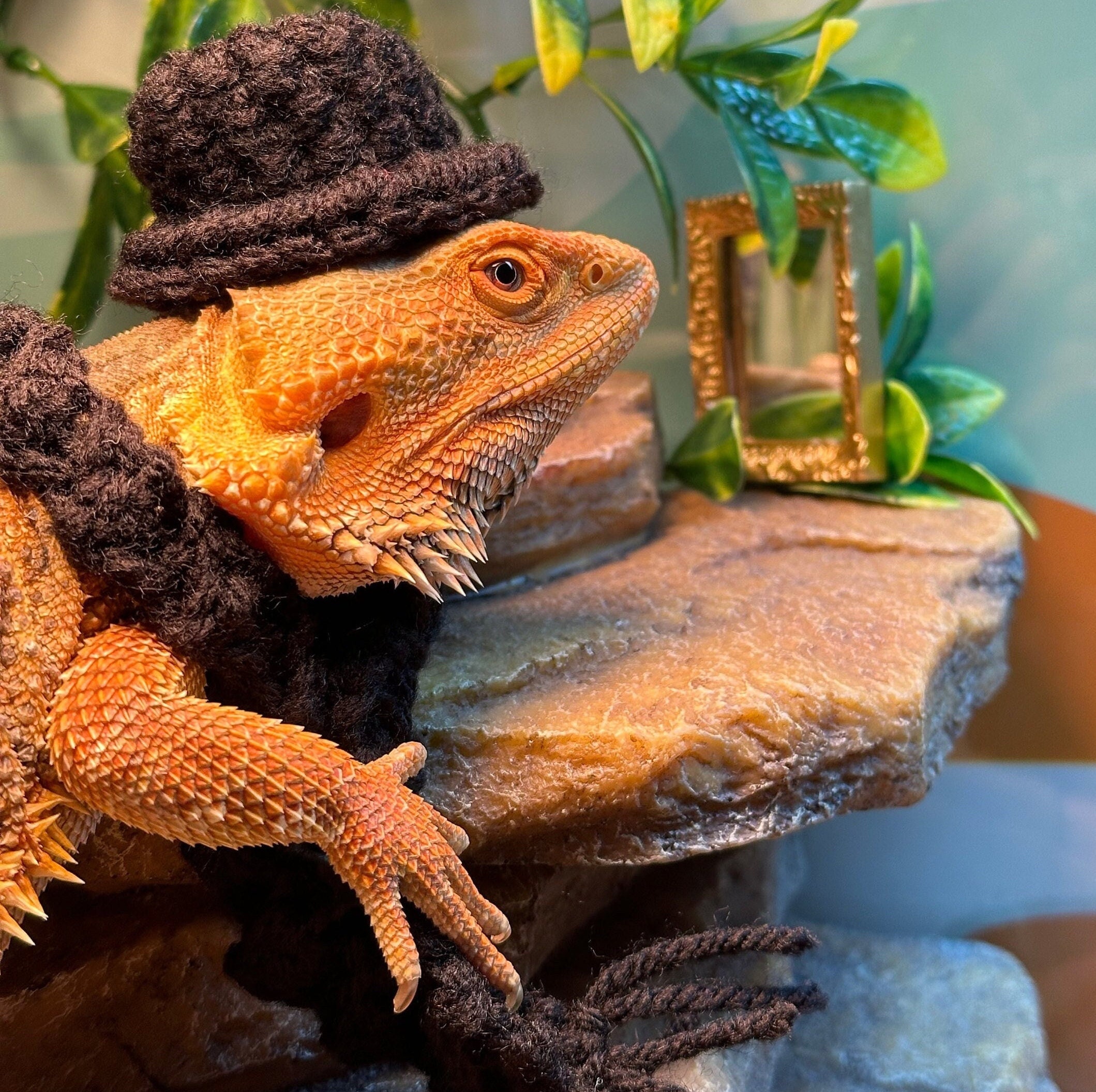 16 Bearded Dragon Crochet Patterns for Reptile Lovers, Gifts, and Plush Decor 4 Bearded Dragon Top Hat and Scarf Crochet