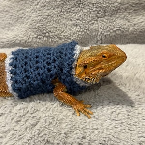 May include: A bearded dragon wearing a handmade blue and white crochet sweater. The reptile has orange and brown scales and is resting on a soft, gray surface. The sweater is a snug fit, showcasing the pet's unique style.