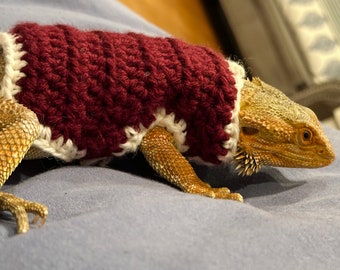 Bearded Dragon Sweater with Velcro Straps Crochet Pattern