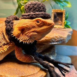 Bearded Dragon Top Hat and Scarf Crochet Pattern - Etsy