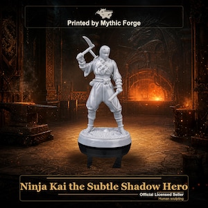 Ninja Kai, el héroe de las sombras sutiles: miniatura para juegos de rol y figura para pintar.