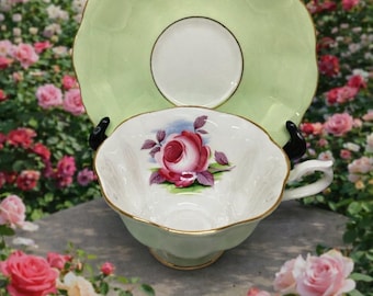 Royal Albert Painters Rose Teetasse mit Untertasse