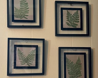 Pressed Fern Art, Black Clear Frame Wall Hanging Home Decor
