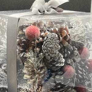 May include: A clear square box filled with silver-painted pinecones, glittery white branches, and small red decorative spheres. The box is tied with a light gray ribbon that forms a bow on the top center, securing the contents inside the container.