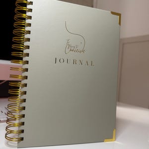 Puede incluir: Un diario gris con espiral y detalles dorados. La portada presenta el texto "The Trying to Conceive JOURNAL" en dorado. Protectores de esquina dorados añaden elegancia.