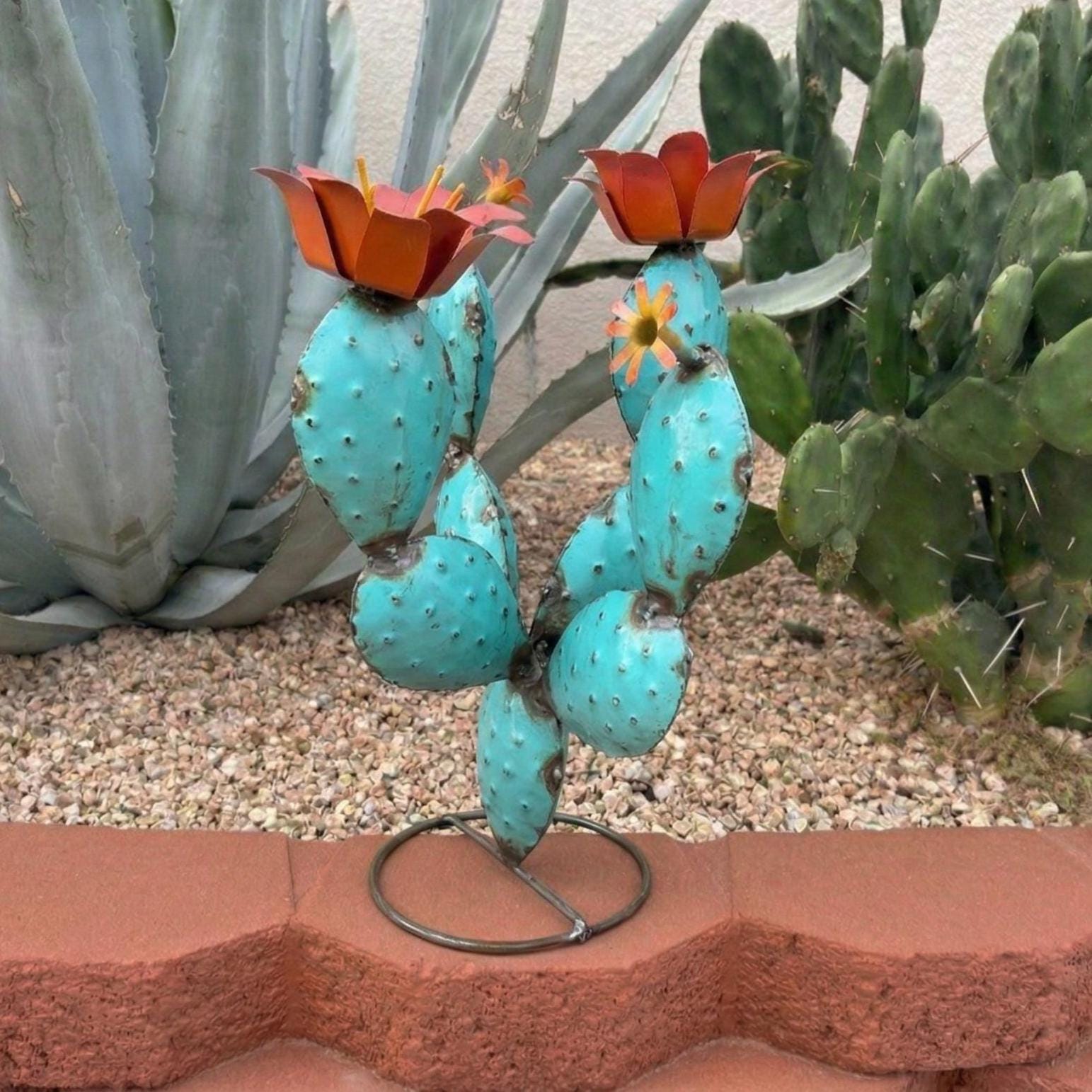 mother's day succulents 2026 Mother's Day Special