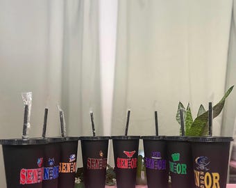Senior 2026 Cups 20oz  (UCPS) Senior Cups Black Cups with Straw