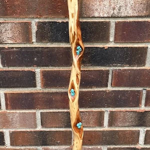Lady&#39;s Diamond Willow Walking Stick with Turquoise Stones--TARIFF FREE