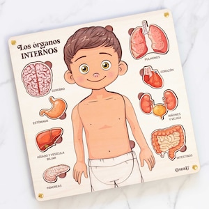 May include: A wooden educational puzzle featuring a cartoon boy with removable pieces representing the internal organs of the human body. The pieces include the brain, stomach, liver, pancreas, lungs, heart, kidneys, bladder, and intestines. The puzzle is labeled in Spanish with the names of each organ.
