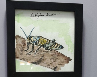 Rainbow Grasshopper India Ink Painting - Original