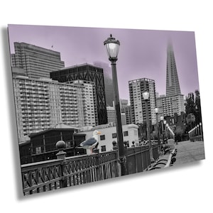 San Francisco Unique Wall Art - Foggy San Francisco Pier 7 with Transamerica Pyramid and Seagull - Urban Landscape Photography
