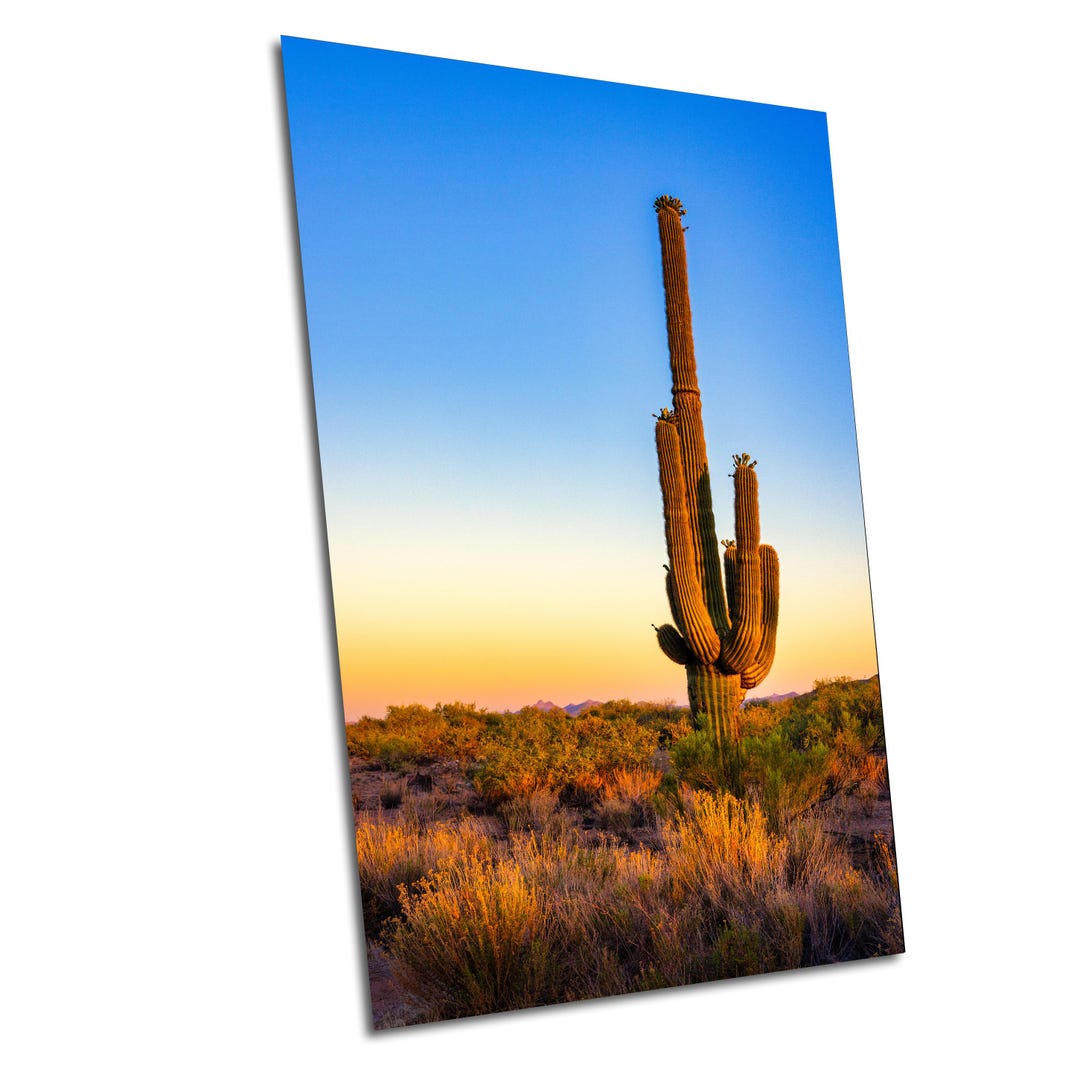 Arizona Desert Landscape Print: Saguaro Cactus Wall Art, Boho ...