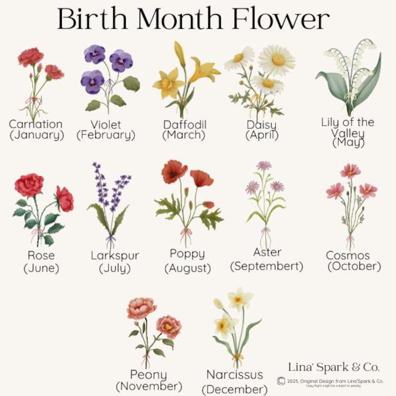 以下が含まれることがあります： 「誕生月の花」と題された花の図表には、カーネーション、スミレ、ラッパズイセン、デイジー、スズラン、バラ、ラークスパー、ポピー、アスター、コスモス、シャクヤク、スイセンなど、各月に対応するさまざまな花の水彩イラストが掲載されています。