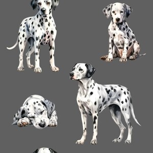 May include: A repeating pattern featuring Dalmatian dogs in different poses on a grey backdrop. The dogs are white with black spots, some standing, sitting, and lying down. The image is a watercolour illustration.