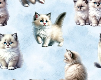 Des chats ragdoll en bleu ! Tissu 100 % coton NOUVEAU design chaton mètres/gras/long/quarts de pièce Quilting Patchwork artisanat couture animaux de compagnie races généalogiques