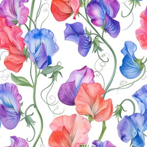 May include: A repeating pattern featuring watercolour sweet pea flowers in pink, red, purple, and blue on a white backdrop. The flowers have delicate petals, green stems, and curling tendrils.