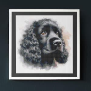 Peut inclure: Un chien Cocker Spaniel noir aux yeux bruns regardant vers le haut et vers la droite. La fourrure du chien est bouclée et l'arrière-plan est une douce aquarelle.