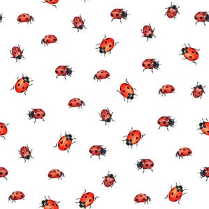 May include: A white background featuring a pattern of red ladybirds. Each ladybird has a red shell with black spots and black legs and antennae. The ladybirds are scattered across the surface.