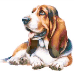 May include: A brown and white basset hound dog with long floppy ears is lying down and looking to the left. The dog has a white chest and paws, and brown fur on its back and head.