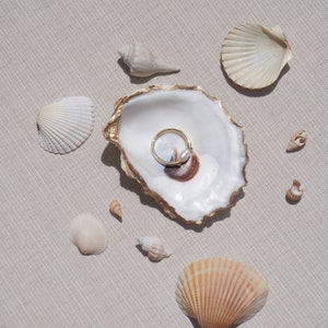 Oyster Shell Trinket Jewelry/Ring Dish - Decorative Oyster Shell