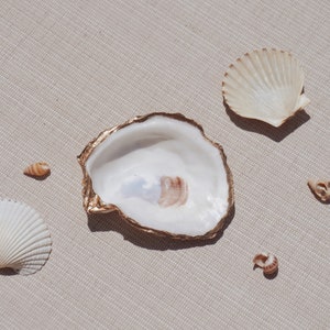 Oyster Shell Trinket Jewelry/Ring Dish - Decorative Oyster Shell