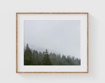 Misty Pine Forest Print: Moody Evergreen Photography, Pacific Northwest Art
