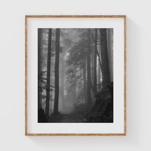 Moody Forest Wall Art, Black and White Nature Print, Misty Tree Photography for Minimalist or Rustic Decor