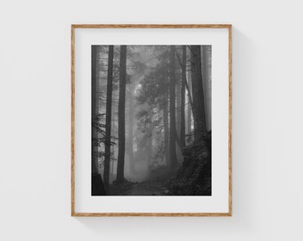 Moody Forest Wall Art, Black and White Nature Print, Misty Tree Photography for Minimalist or Rustic Decor