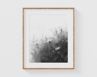 Minimalist Wildflower Print in Black and White, Fine Art Botanical Photography, Soft Wall Art with Daisies, Dreamy Nature Decor for Bedroom