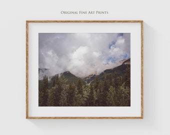 Rocky mountains photography prints - Pine tree forest Alberta, Canada the perfect, the perfect living room wall decor