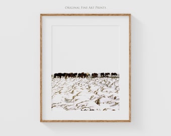 Iceland photography prints - Herd of Icelandic horses walk across snow covered lava fields, perfect bedroom wall decor