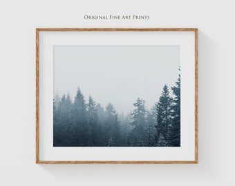 Misty Forest Photography Print - Fine Art Landscape - Moody Pine Trees Wall Art for Living Room Decor