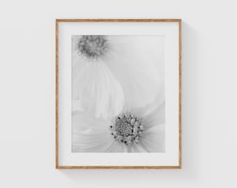 Black And White Flower Print, Minimalist Floral Wall Art, Monochrome Botanical Photo, Soft Focus Fine Art, Neutral Bedroom Decor
