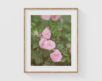 Pink Rose Wall Art, Romantic Floral Photography Print, Cottagecore Botanical Decor, Fine Art Nature Photography, Garden Flower Artwork