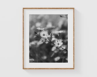 Wildflower Wall Art in Black and White, Fine Art Botanical Photography Print, Nature-Inspired Floral Art for Modern Rustic Decor
