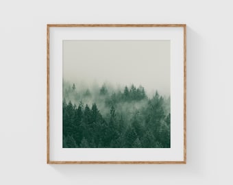 Foggy Green Forest Print, Minimalist Nature Wall Art, Pacific Northwest Tree Landscape, Calm Square Woodland Photo, Serene Decor Print