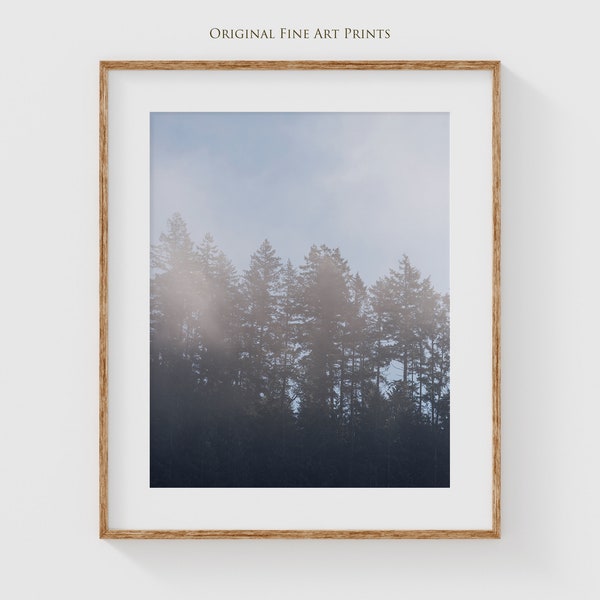 Forest photography prints - Light blue minimalist landscape Horseshoe Bay West Vancouver, perfect bedroom wall decor