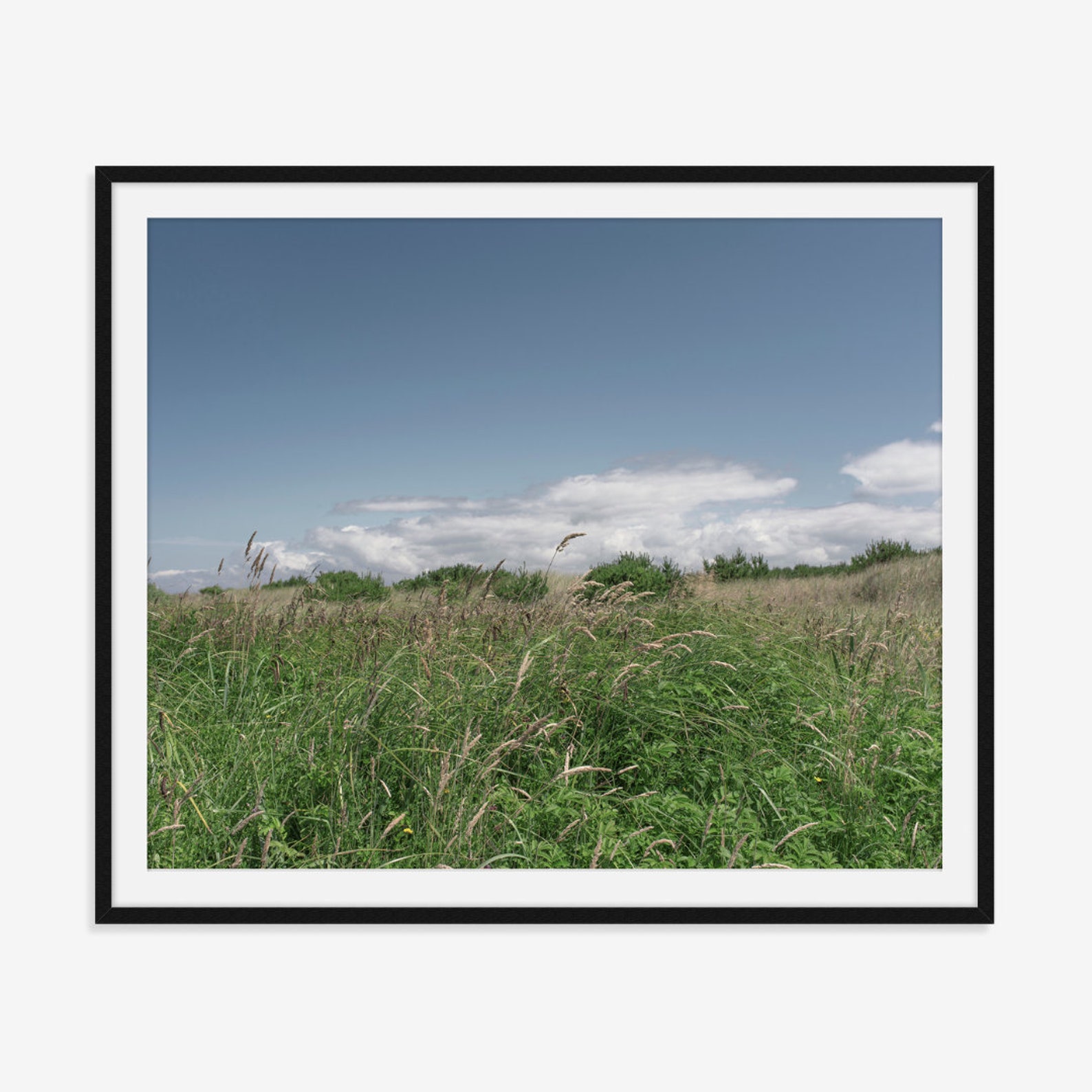 Grass Wall Decor Green Field Wall Art Nature Landscape Wall Etsy