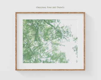 Abstract Tree Branches and Leaves Photograph: Unique Nature Art, Botanical Wall Decor, Modern Forest Print