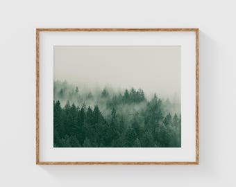 Foggy Pine Tree Wall Art, Misty Forest Landscape Print, Minimalist Nature Photography for Calm Interiors