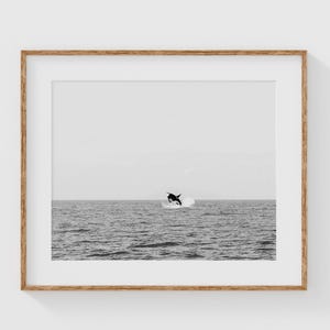 Minimalistischer Orca Wal Druck, Schwarzweiß Ozean Fotografie, Vancouver Küstenwand Kunst, Modernes Sea Life Dekor, Natur Foto Druck
