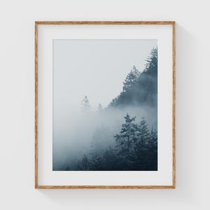 May include: A framed photograph depicting a misty forest scene with tall, dark green trees in the background. The fog is thick and obscures the details of the trees, creating a sense of mystery and depth.