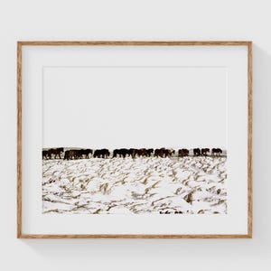 Fine Art Landscape Photography Print of Icelandic Horses in Winter - Minimalist Iceland Landscape Wall Art