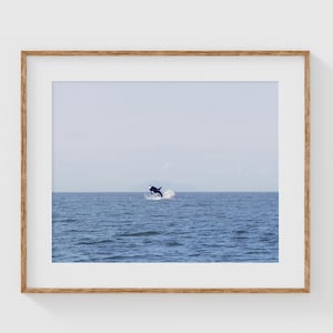 Breaching Orca Whale Print, Ocean Wildlife Photography, Fine Art Marine Wall Art, Whale Watching Nature Decor, Sea Life Photo