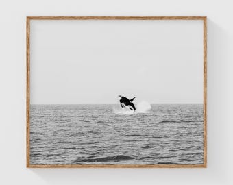 May include: A black and white framed wall art print featuring an orca whale breaching the surface of the ocean. The whale is captured mid-air, creating a splash of white water against the dark sea and a pale, overcast sky in the background.