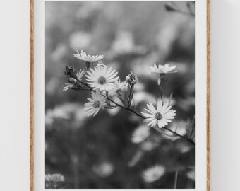 Wildflower Wall Art, Black and White Meadow Print, Daisy Botanical Photography, Modern Farmhouse Decor, Neutral Floral Art