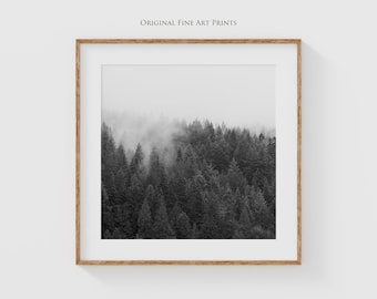 Serene Foggy Forest Trees Fine Art Prints - Fine Art Photography - Black and White Nature Photography Print - Minimalist Landscape Decor