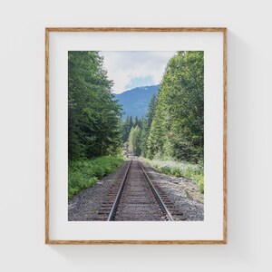 May include: A photograph of a railway track leading through a lush green forest with a mountain range in the background.